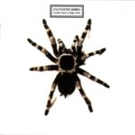 Cultivated Bimbo - Something To Do