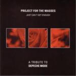 Project For The Masses - Walking In My Shoes
