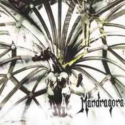 Mandragora – Behind The Wheel