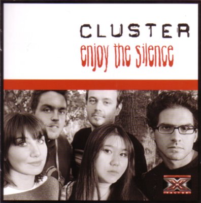 Cluster – Enjoy The Silence