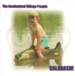 The Academical Village People - Policy Of Truth