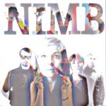 NimB - The Love Thieves