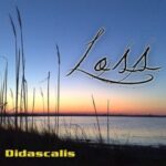 Didascalis - Waiting For The Night