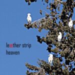 Leæther Strip - Heaven