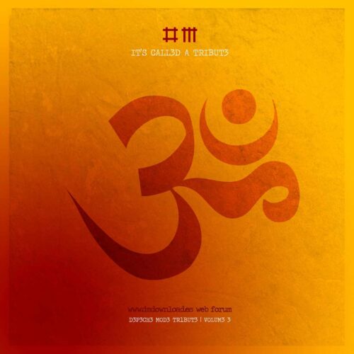 Reviaj – Enjoy The Silence & Precious