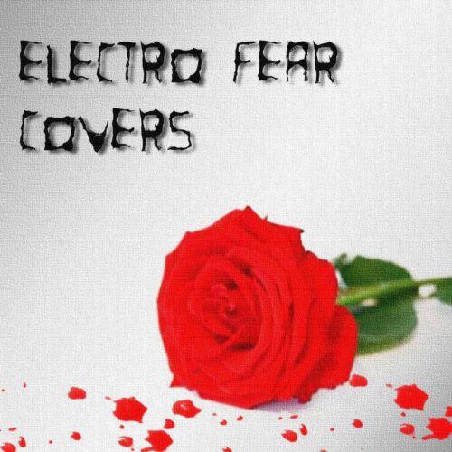 Electro Fear – The Things You Said