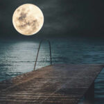 Gorya - Waiting For The Night