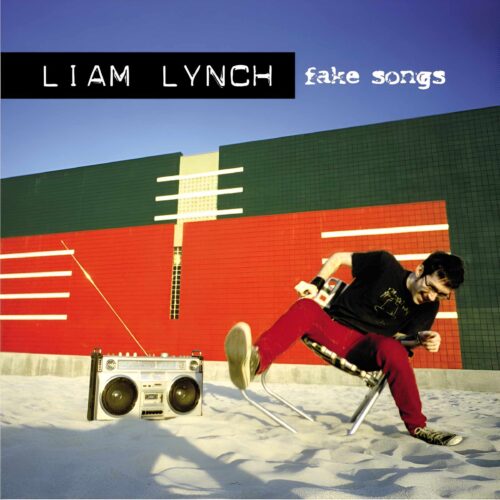 Liam Lynch - Fake Songs