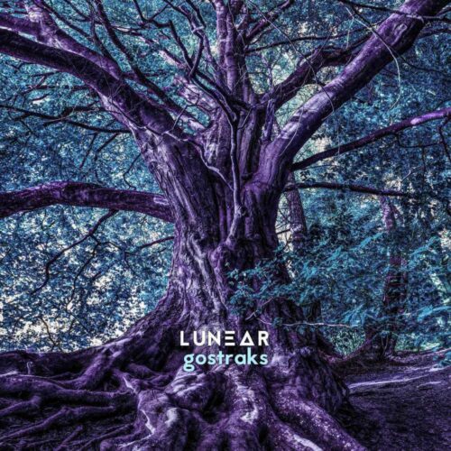 Lunear – Shake The Disease