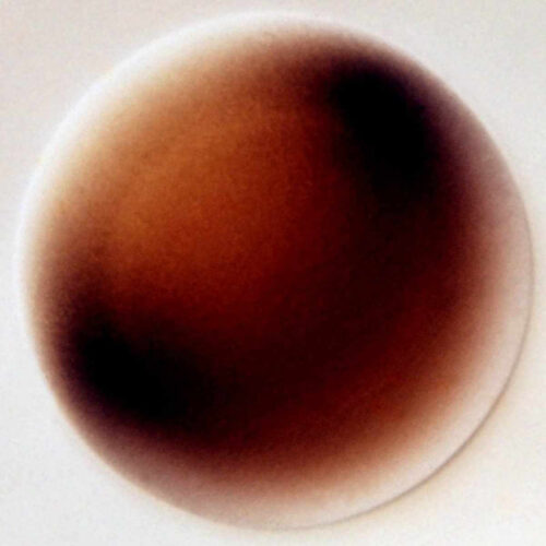 Rio Noir – Shake The Disease