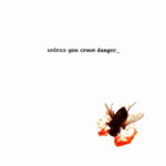 Unless You Crave Danger - Fly On The Windscreen